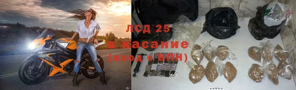 прущие крисы Абинск