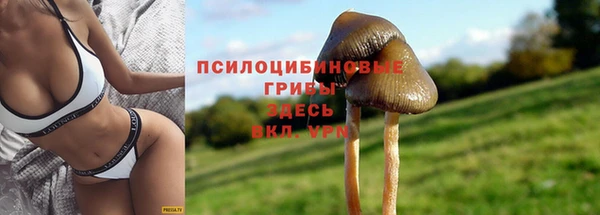 кокаин колумбия Абаза