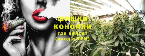PSILOCYBIN Рославль