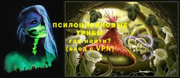 PSILOCYBIN Рославль