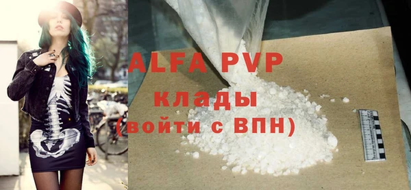 PSILOCYBIN Рославль
