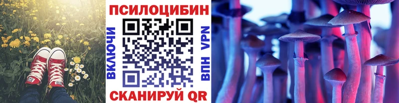 Галлюциногенные грибы GOLDEN TEACHER  Лесозаводск 